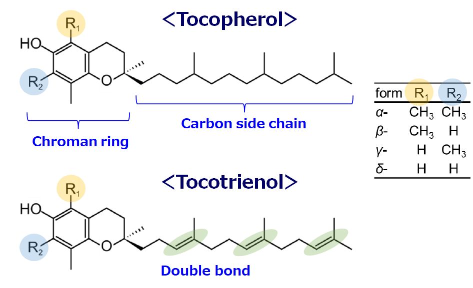 Hyper E-2  Tocotrienols (Liquid) (micellized)